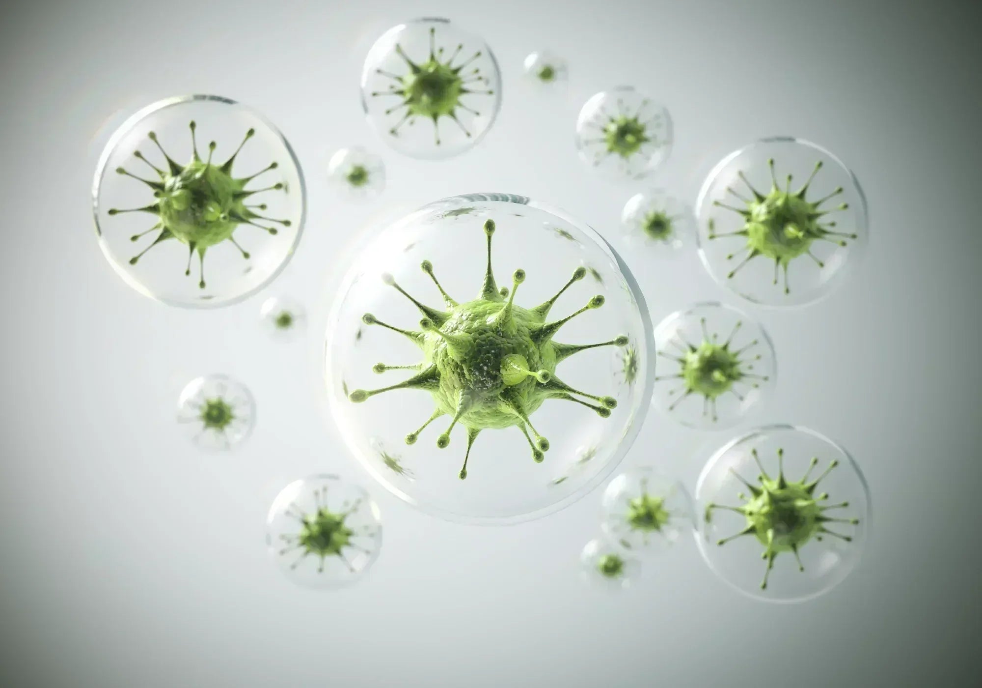 Бактериална инфекция: Видове и симптоми